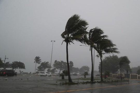 Bão Fred tăng cấp thành bão nhiệt đới, càn quét Florida, Mỹ
