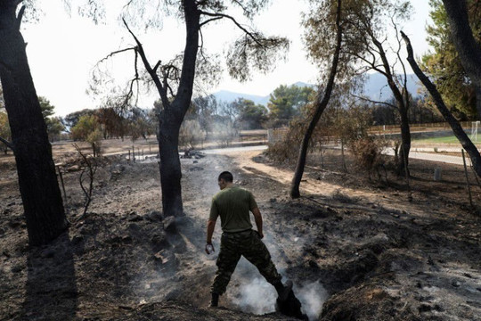 Hơn 500 vụ cháy rừng ở Hy Lạp, hàng nghìn người phải sơ tán