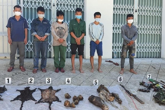 Thừa Thiên Huế: Động vật hoang dã bị sát hại dã man