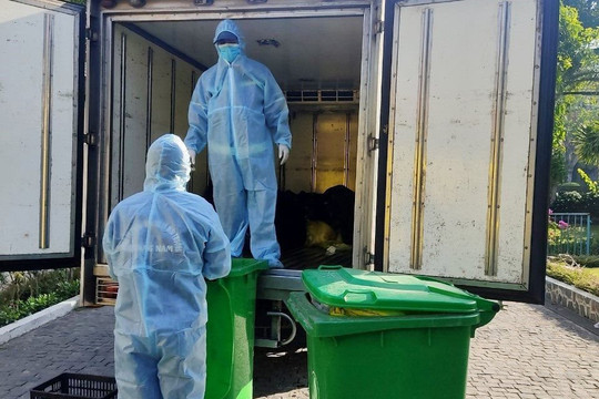 Quảng Nam: Đảm bảo thu gom, vận chuyển xử lý chất thải phát sinh do dịch bệnh COVID-19 
