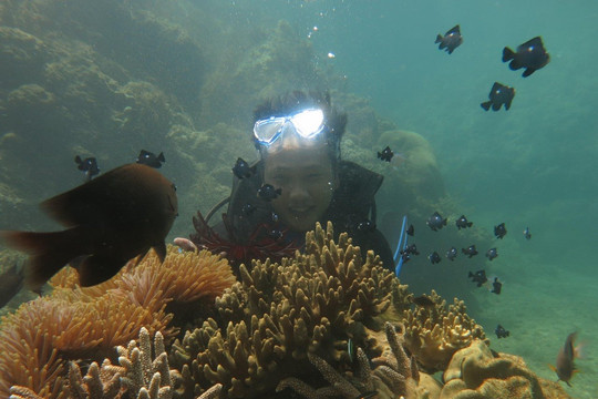 Phục hồi hệ sinh thái rạn san hô tại khu vực biển Quy Nhơn 