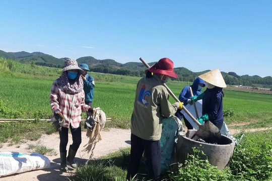 Mục sở thị cách làm “sạch từ nhà ra đồng ruộng” ở Anh Sơn, Nghệ An