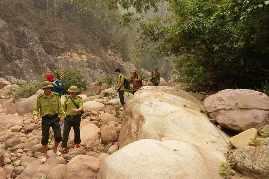 Tăng cường tuần tra bảo vệ rừng ở Khu bảo tồn thiên nhiên Mường Nhé 