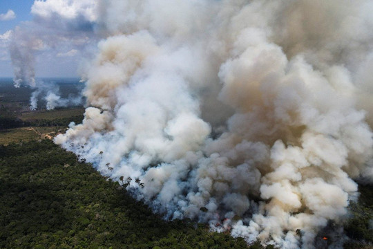 Nạn phá rừng Amazon ở Brazil giảm tháng thứ hai, nhưng vẫn ở mức cao