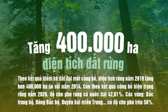 Infographic: Cả nước tăng 400.000 ha diện tích đất rừng so với năm 2014