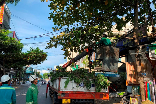 Đà Nẵng: Khẩn trương cắt tỉa cây xanh để ứng phó mùa mưa bão 2021