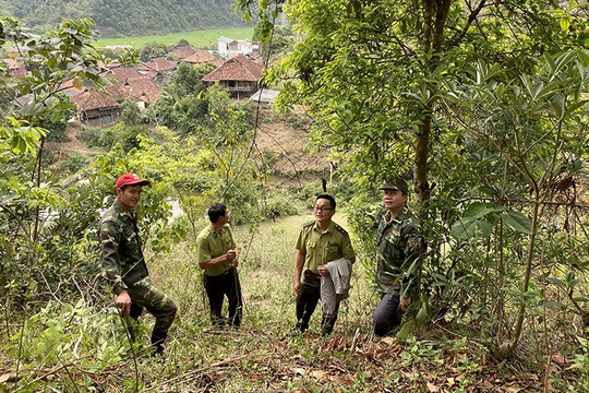 Huyện Điện Biên tăng cường công tác quản lý bảo vệ rừng