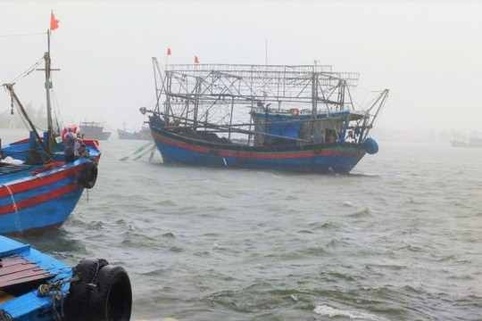Quảng Nam: Nghiêm cấm tàu thuyền ra khơi từ 10h ngày 23/9