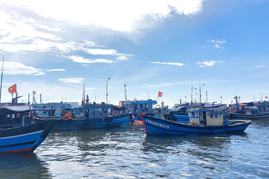 Thừa Thiên- Huế: Kêu gọi tàu thuyền vào nơi trú ẩn an toàn để tránh áp thấp nhiệt đới