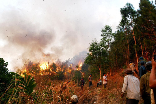 Đốt nương, rẫy gây cháy rừng bị xử phạt như thế nào