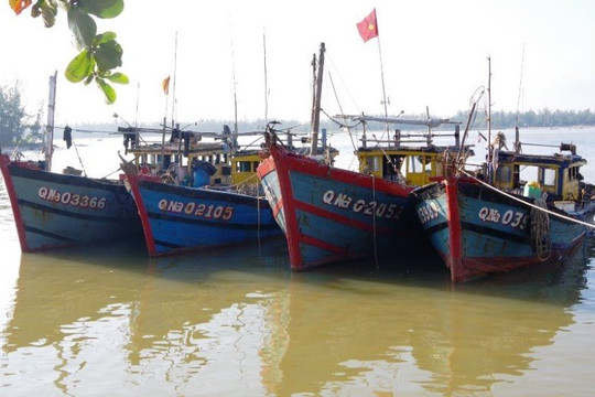 Quảng Nam: Bộ đội biên phòng phát hiện 4 tàu giã cào khai thác trái phép