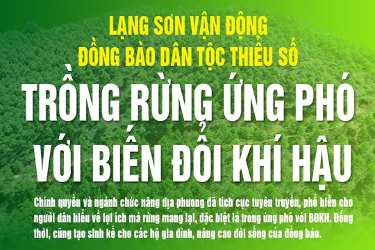 Infographic: Lạng Sơn vận động đồng bào DTTS trồng rừng ứng phó với BĐKH