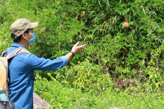 Đắk Lắk: Gieo mầm xanh cho những vùng đất trống, đồi trọc