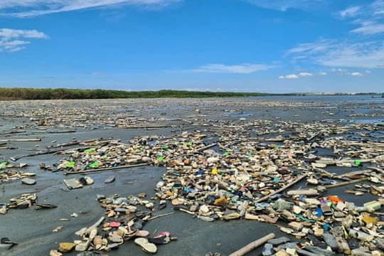Rác thải nhựa bủa vây rừng ngập mặn ở Vịnh Manila 