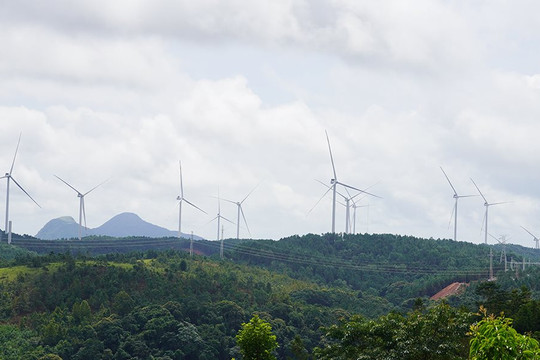 Quảng Trị: 16 dự án điện gió kịp vận hành để hưởng giá FIT