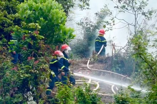 TP.Lạng Sơn: Diễn tập phòng cháy chữa cháy rừng