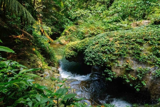 Hẹn với Cham Chu