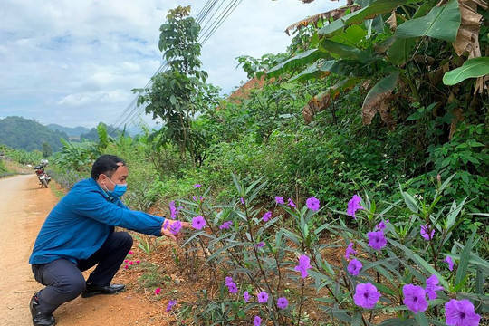 Sơn La: Kiểm tra việc thực hiện tiêu chí môi trường tại xã Mường Bằng