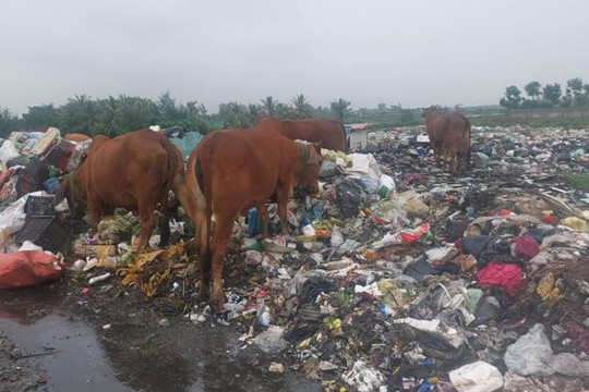 Diễn Châu (Nghệ An): Ô nhiễm nghiêm trọng tại bãi rác Diễn Ngọc
