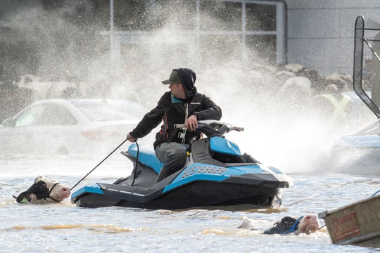 Canada chống chọi với lũ lụt kinh hoàng chưa từng có trong 500 năm