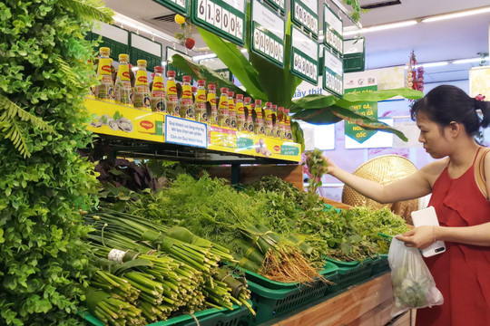 Thừa Thiên - Huế: Phấn đấu sử dụng 100% túi ni lông thân thiện môi trường tại trung tâm thương mại, siêu thị vào năm 2025