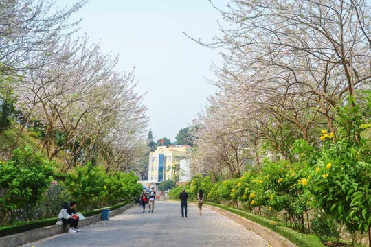 Quảng Ninh đảm bảo môi trường hơn 600 khu di tích, danh thắng luôn sạch, đẹp