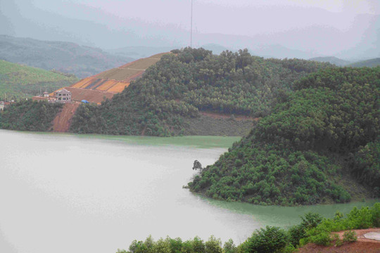 Bình Định thiệt hại 219 tỷ đồng do mưa lũ