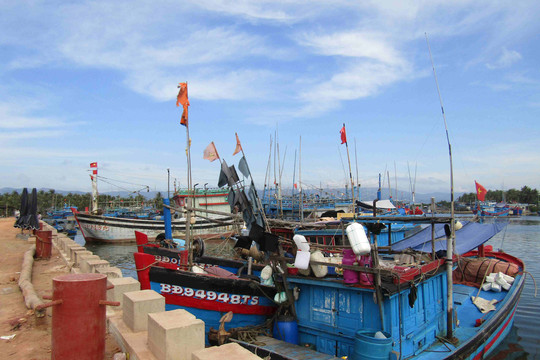 Bình Định: Cảng cá Tam Quan đạt cảng cá loại 2