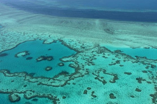Cuối tháng 1/2022, rạn san hô Great Barrier có thể bị tẩy trắng hàng loạt