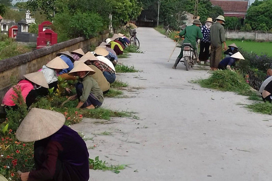 Thái Bình: Các tín đồ tôn giáo hăng hái tham gia bảo vệ môi trường