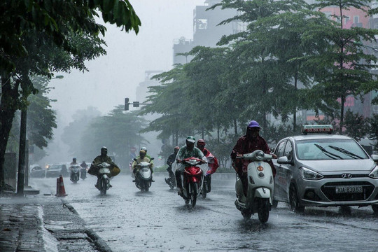 Từ Hà Tĩnh đến Quảng Ngãi có  mưa vừa, mưa to