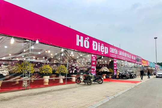 Hà Nội tổ chức Chợ hoa Xuân phục vụ Tết Nhâm Dần 2022