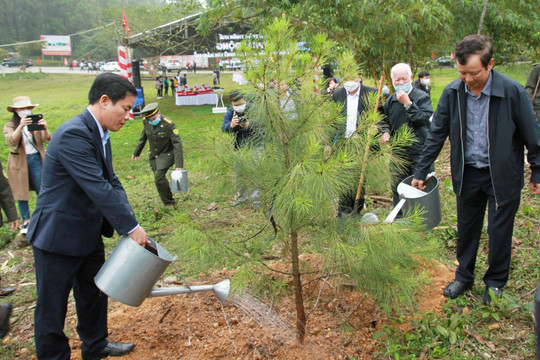 Thừa Thiên - Huế: Phát động Tết trồng cây Xuân Nhâm Dần