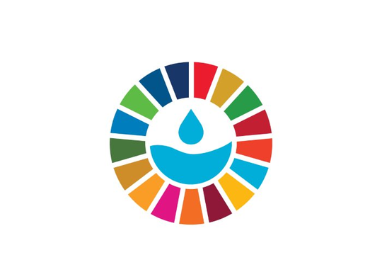 Hành động “Nước vì phát triển bền vững”
