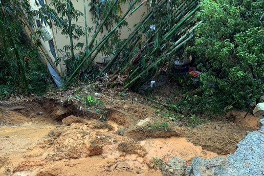 Lào Cai: Thiệt hại 900 triệu đồng do mưa rét