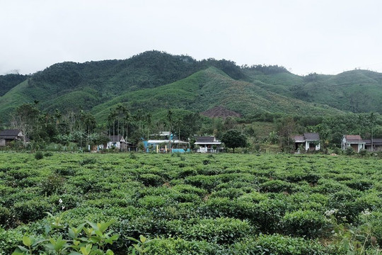 Quảng Nam: “Khai tử” dự án Khu du lịch nghỉ dưỡng sinh thái cao cấp Tây Bà Nà