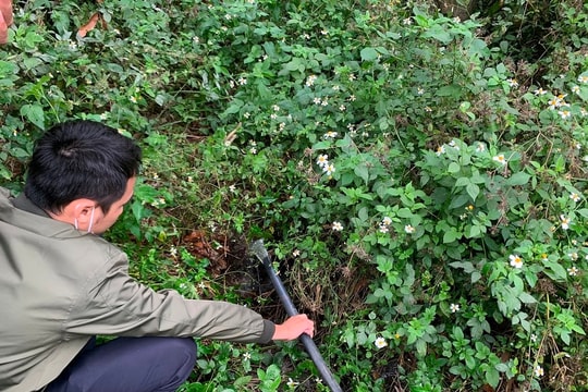 Sơn La: Giao các địa phương thiết lập đường dây nóng tiếp nhận thông tin ô nhiễm trước 28/2