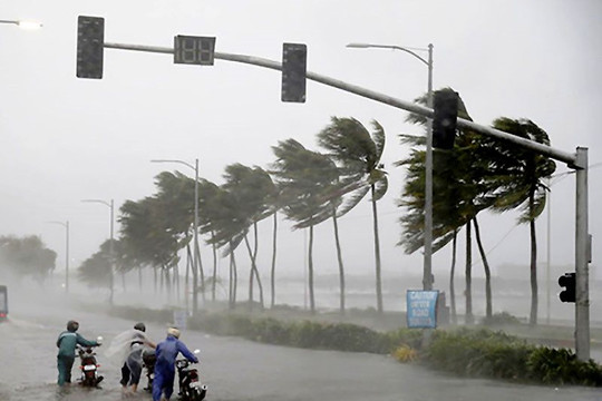 Biển Đông có thể đón 10 - 12 cơn bão, áp thấp nhiệt đới trong năm 2022