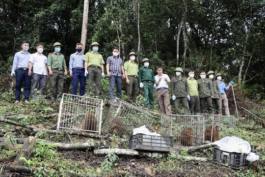 Hà Tĩnh:  Thả 39 cá thể động vật hoang dã về môi trường tự nhiên