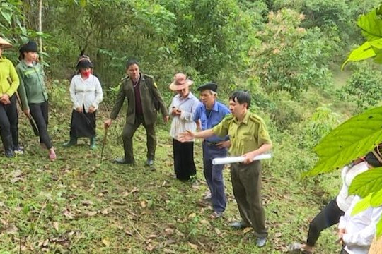 Kiểm tra, xác minh diện tích rừng cung ứng dịch vụ môi trường rừng trên địa bàn huyện Mường Ảng