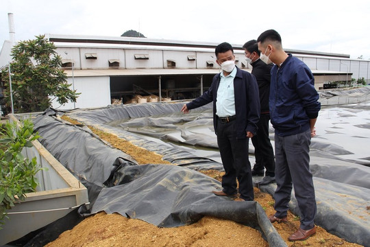 Sơn La: Giám sát hiện trạng xử lý nước thải 3 Nhà máy chế biến cà phê 