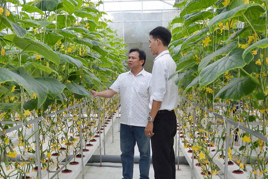 Kinh tế Việt Nam vượt thách thức do biến đổi khí hậu: Hiệu quả từ chuyển đổi mô hình nông nghiệp