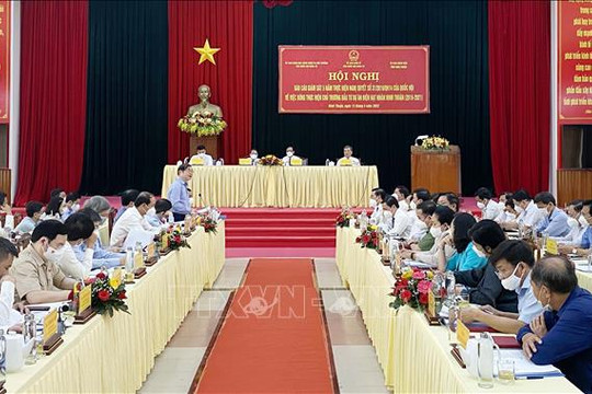 Giám sát việc dừng thực hiện chủ trương đầu tư dự án điện hạt nhân Ninh Thuận