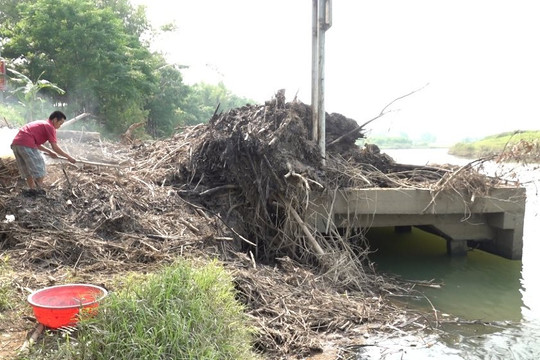 Đà Nẵng: Nhiều cầu tàu dang dở, bỏ hoang trở nên ô nhiễm