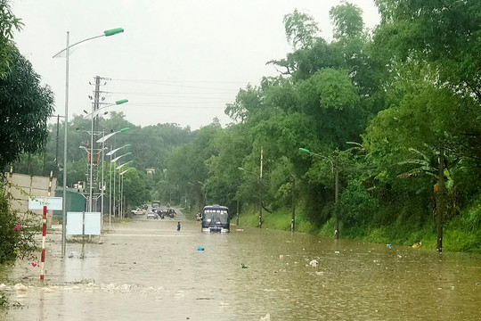 Mưa lớn gây ngập lụt tại Lào Cai