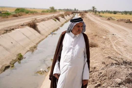 Hạn hán đe dọa ngành trồng lúa Iraq