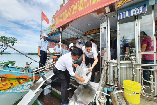 Thả 32.000 con cá tái tạo nguồn lợi thuỷ sản trên sông Hương
