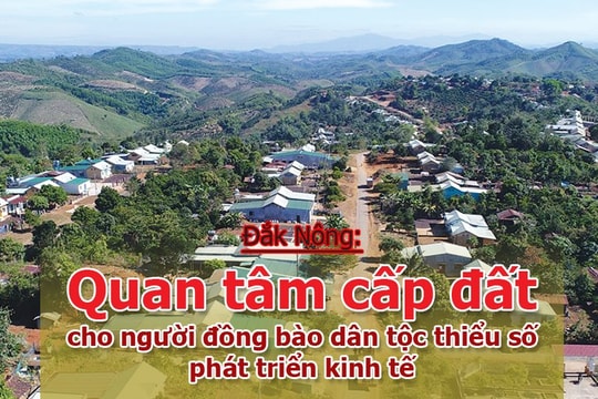 INFOGRAPHIC - Đắk Nông: Quan tâm cấp đất cho người dồng bào dân tộc thiểu số phát triển kinh tế