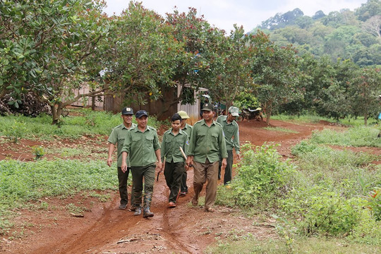 Đắk Nông: Hiệu quả từ công tác chi trả dịch vụ môi trường rừng
