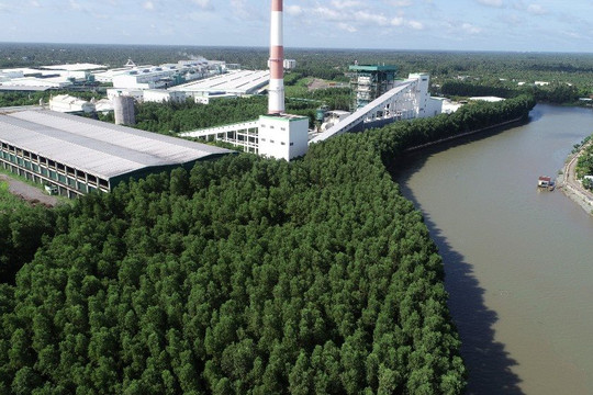 Lee & Man Việt Nam:  “Xanh hoá" nhà máy là nền tảng để phát triển nền công nghiệp xanh